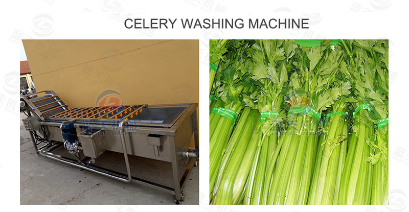 Celery washing machine