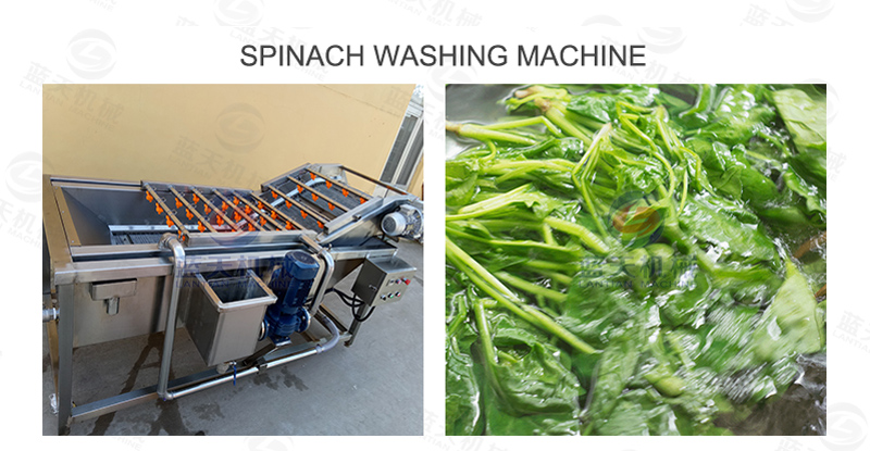 spinach washing machine 
