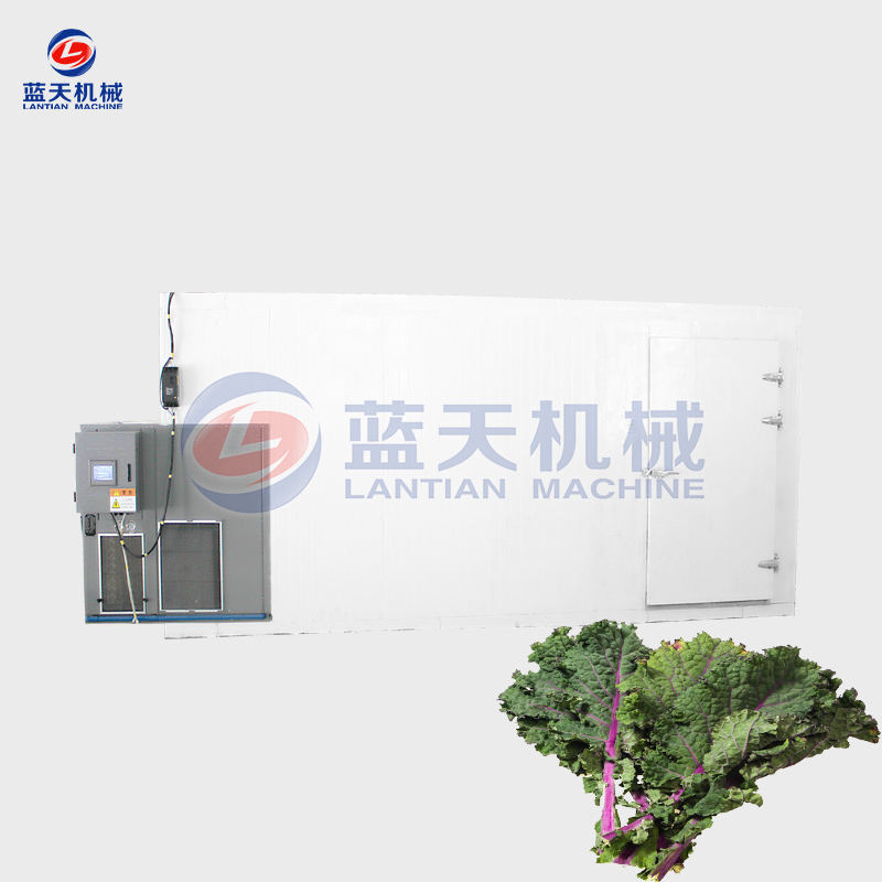 Kale Dryer Machine