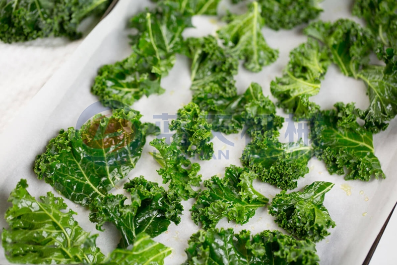Our kale dryer is easy to operate and maintain
