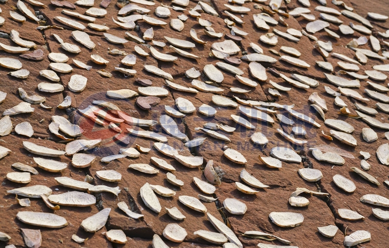 After drying by our sweet potatoes dryer machine,the nutritional value is well preserved