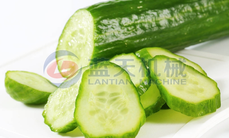 Our cucumber dryer machine keeps edible value well