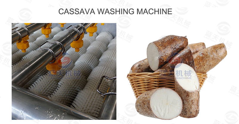 Cassava washing machine