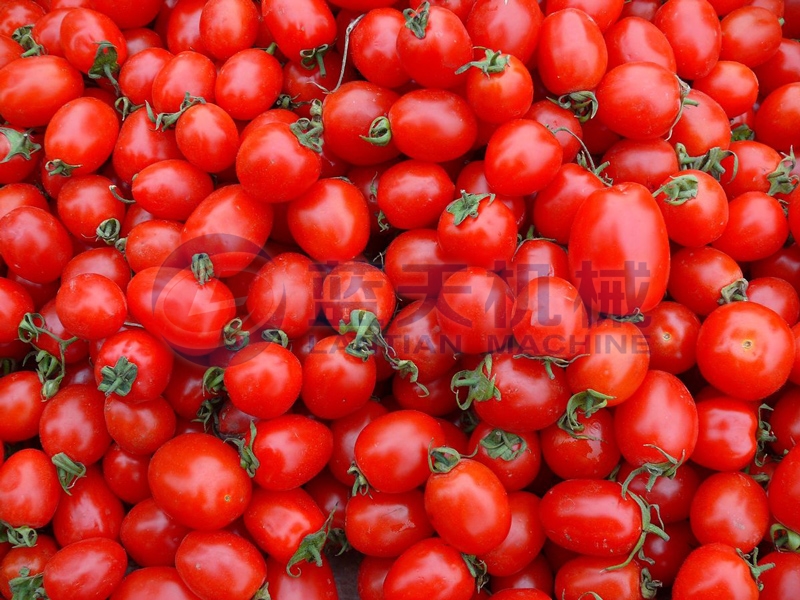 After drying by our cherry tomato drying machine,nutrients keeps intact