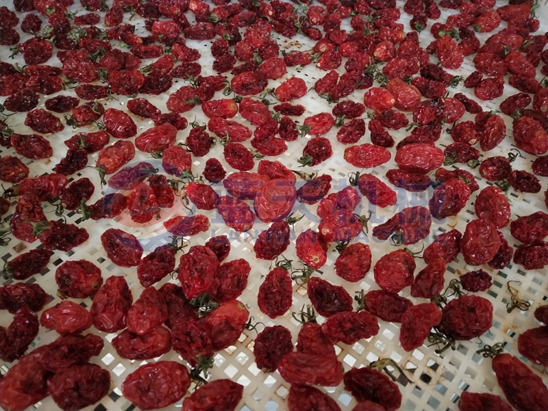 After drying by our cherry tomato drying machine,nutrients keeps intact