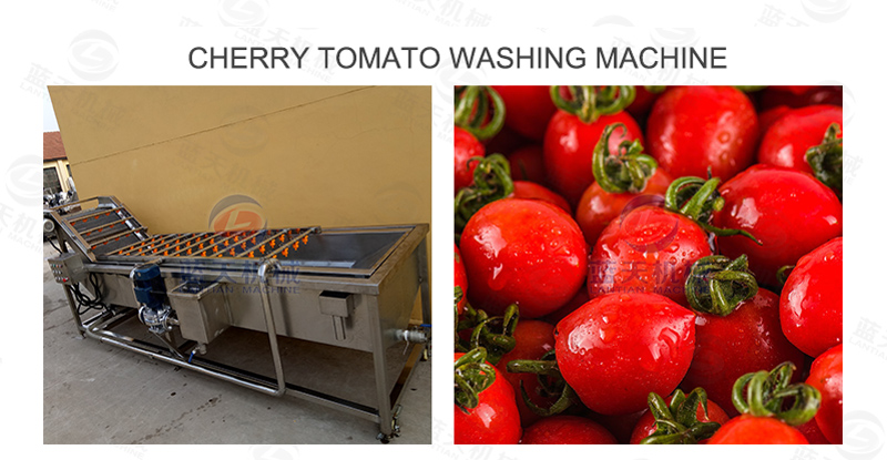 cherry tomato washing machine