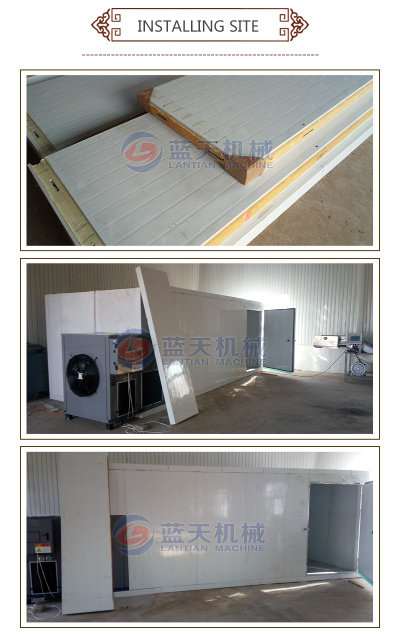 Installing site of cherry tomato drying machine