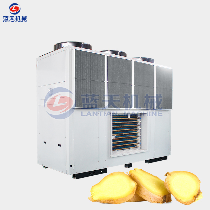 Ginger Chips Dryer Machine