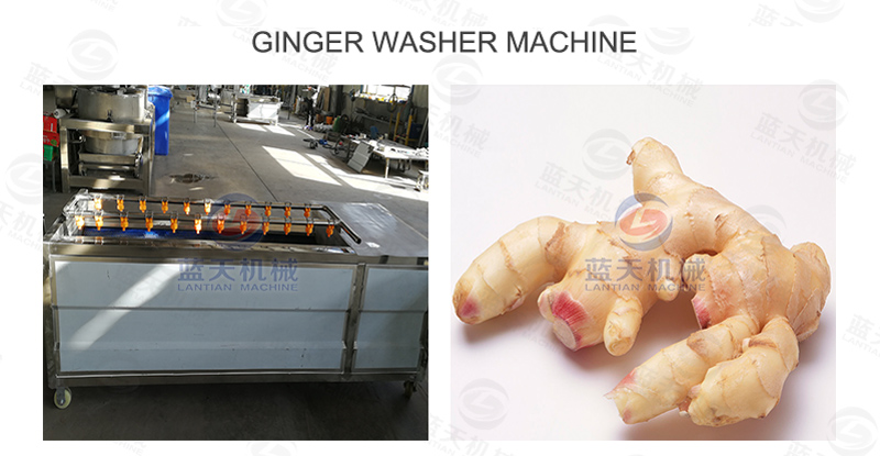 Ginger washer machine