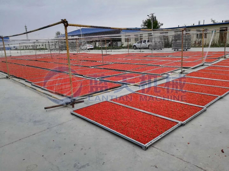 Mesh belt type pepper drying machine can drying a large number of peppers more efficiently.