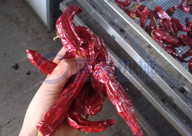 Mesh belt type pepper drying machine can drying a large number of peppers more efficiently.