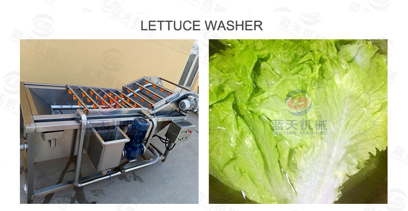 Lettuce washer