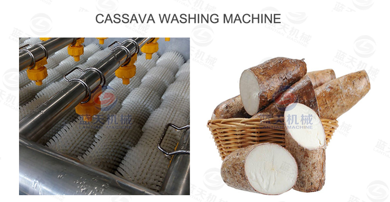 cassava washing machine