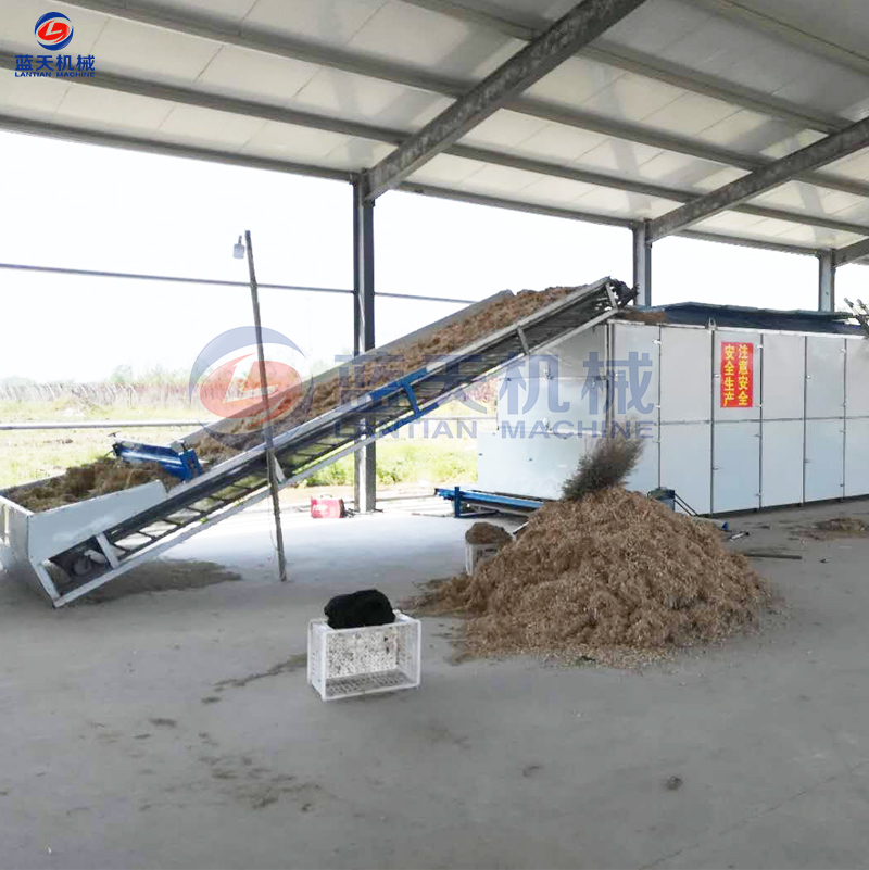 Panorama of garlic belt drying machine