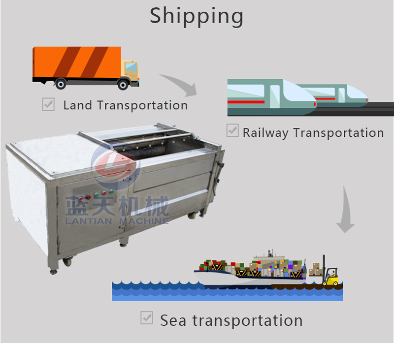 Transportation modes of carrot washer